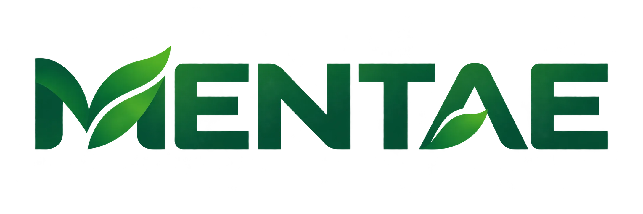 Mentae